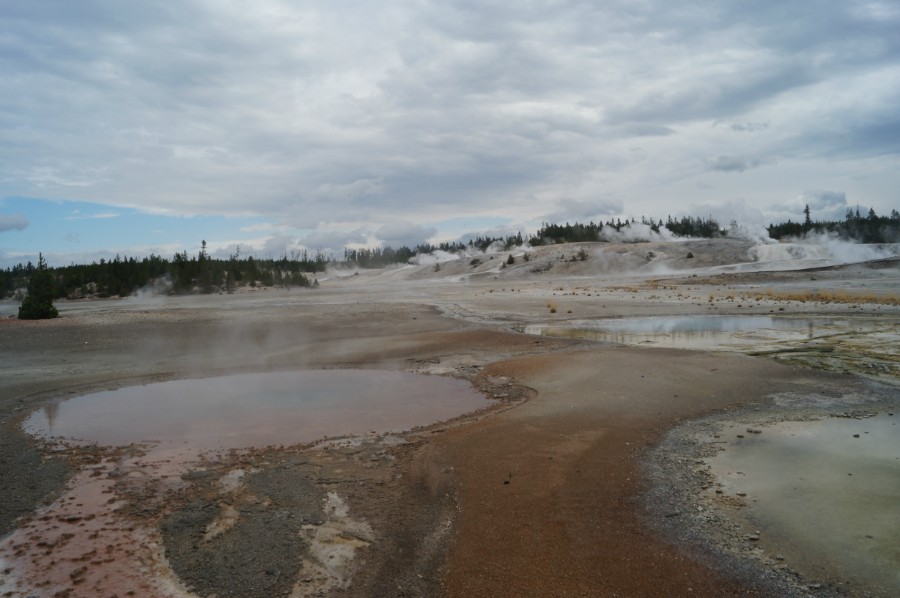    (Norris Geyser Basin),  6