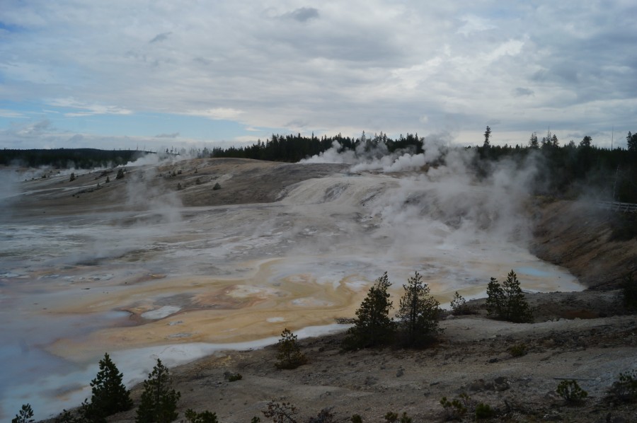    (Norris Geyser Basin)  9