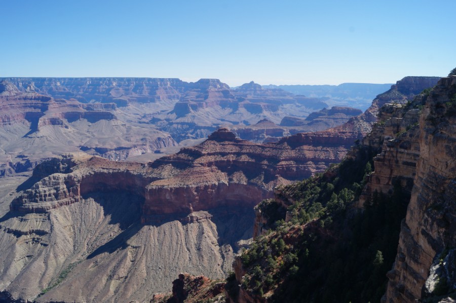    - () (Grand Canyon;  ,  ) 