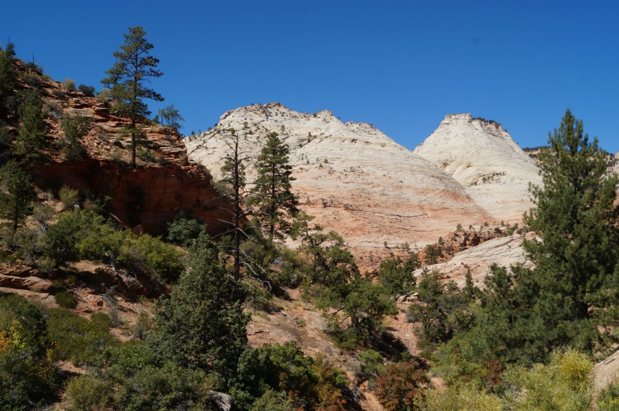     .   (Zion National Park),  3