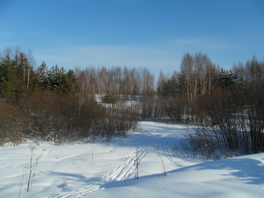 Зимой на берегах Новгородки. Фото 1