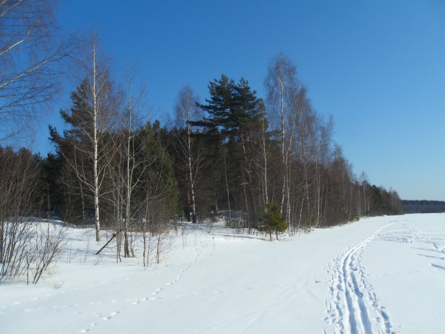 Бежит лыжня по краю леса (дорога от с. Филлиповское до д. Линдо-Усад)