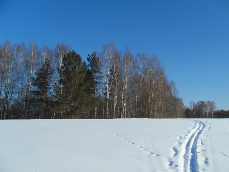 Лыжня к д. Дрюково