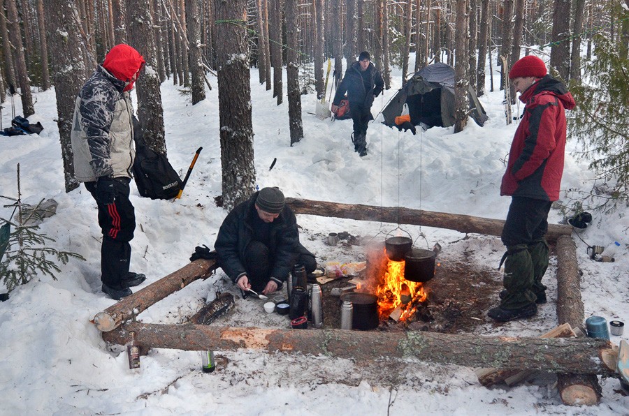 Наша стоянка в сосновом лесу