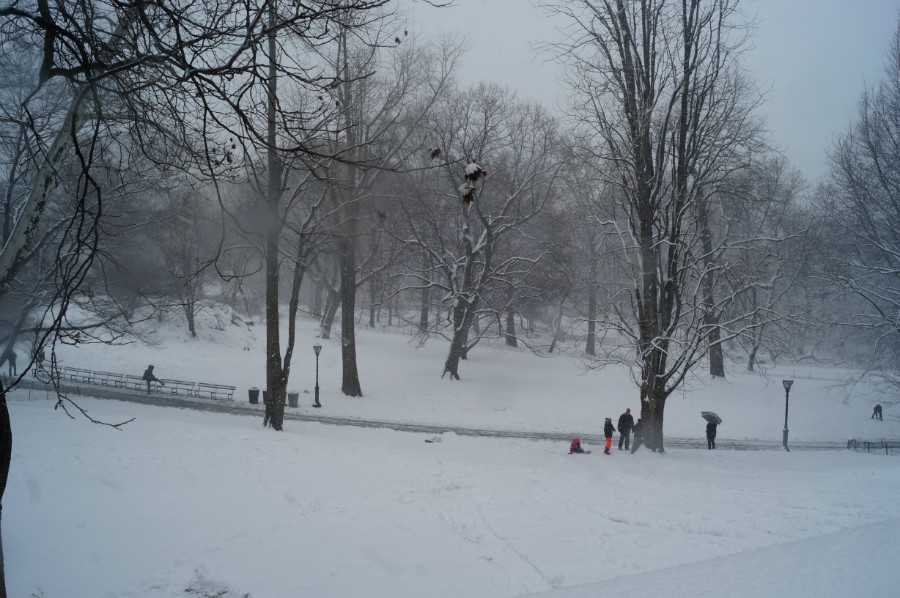 Выпал снег. Центральный парк