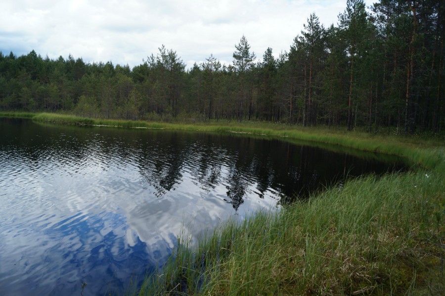 Затерянное озеро Пурешево (Литняковское)