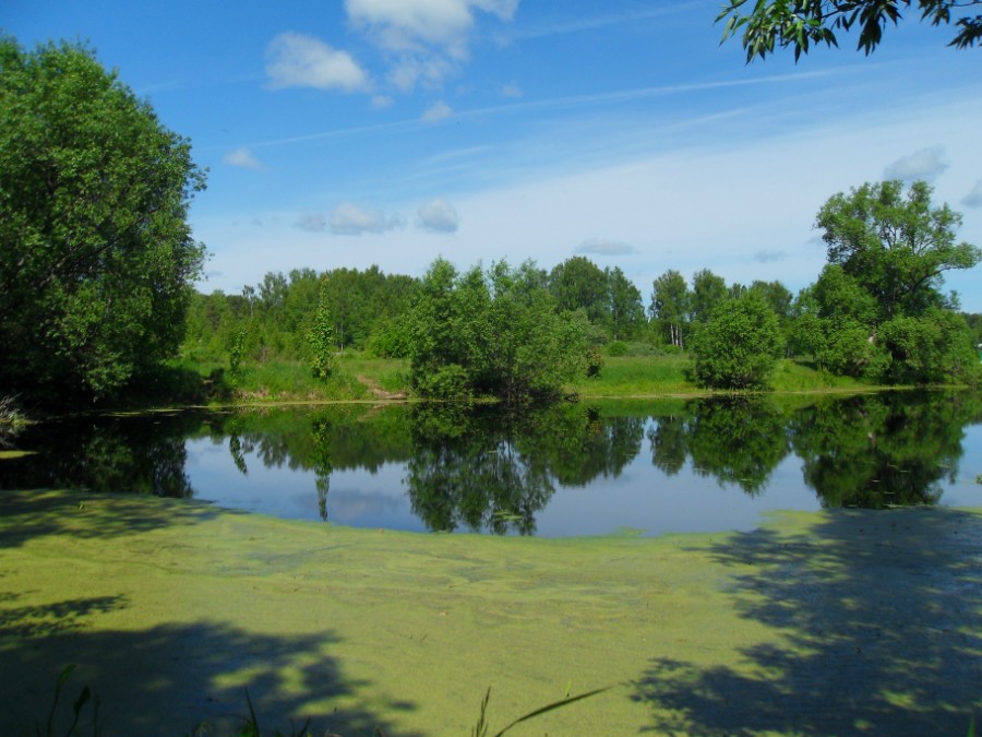 Верхний пруд в д. Слободское. Фото 3