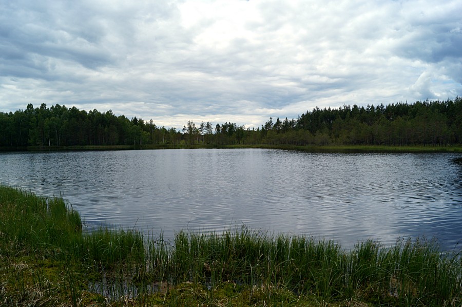 Озеро Пурещево нанесенное на картах Менде как оз. Литняковское