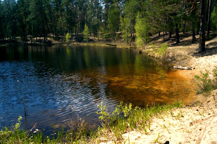 Вода в озере Дерганово очень чистая