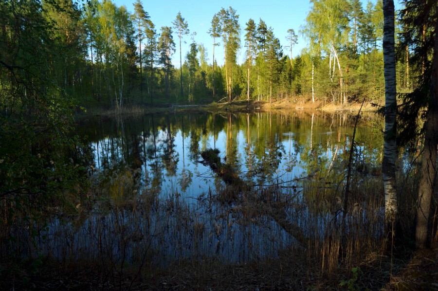 Озеро Карасное (Мухтоловское)