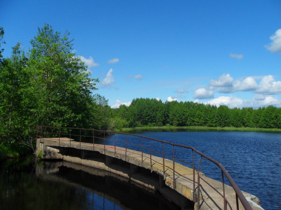 Плотина на озере-пруду Нижнее (р. Честка). Фото 2