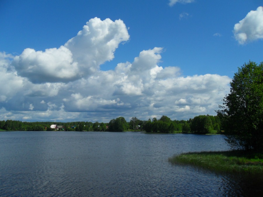 Озеро-пруд Нижнее на р. Честка. Фото 3