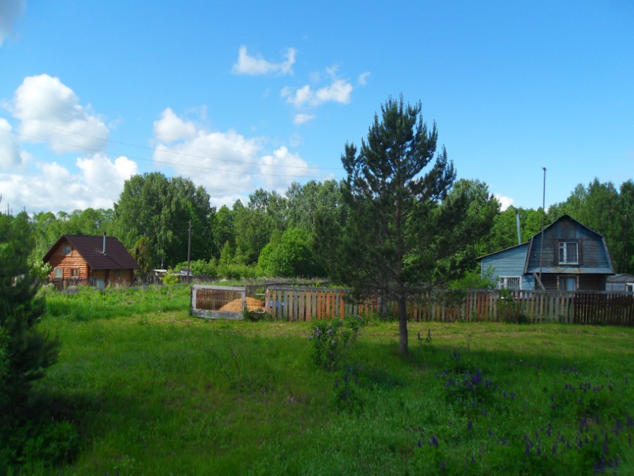 Деревня Лискино у дамбы на р. Честка. Фото 2