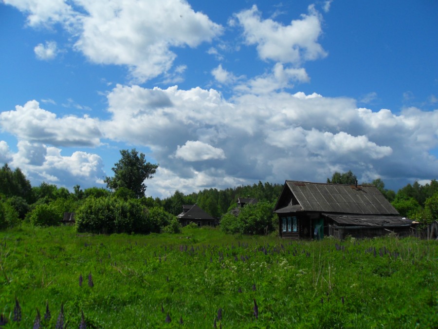 На окраине деревни Кривцово