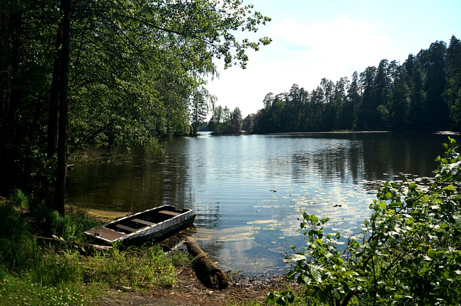 Южная часть озера Кругленькое
