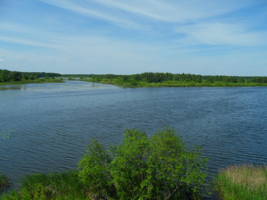 Озеро Толоконцевское (Спасское). Фото 2