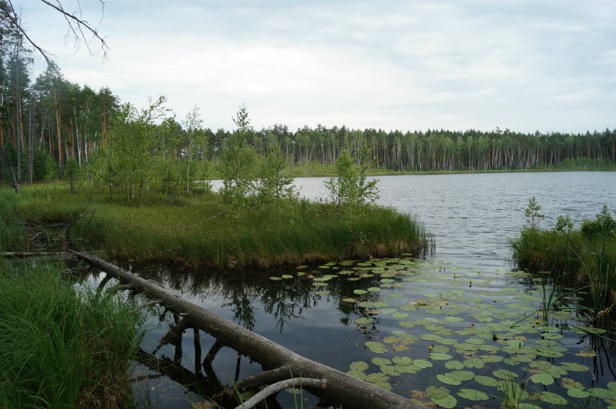 Озеро Окунёво (Окуни) центральное