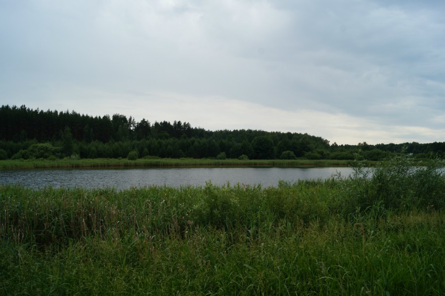 Озеро Глухое (Павловский район)