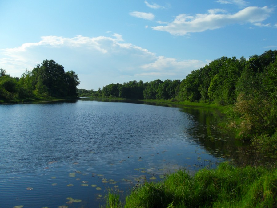 Озеро Юрьево (вид на северо-западный берег)