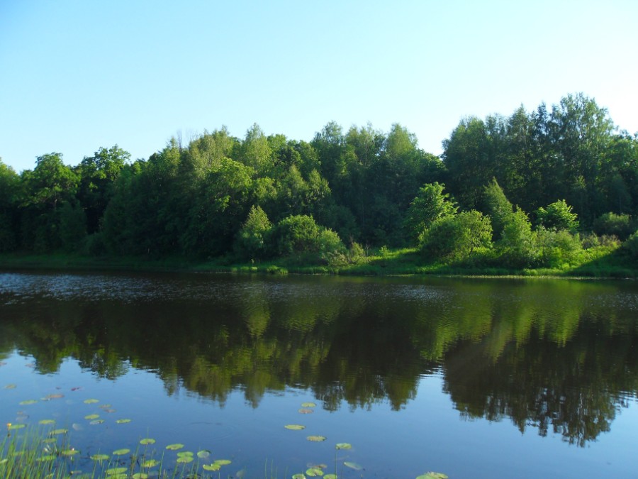 Озеро Юрьево в июне. Фото 1