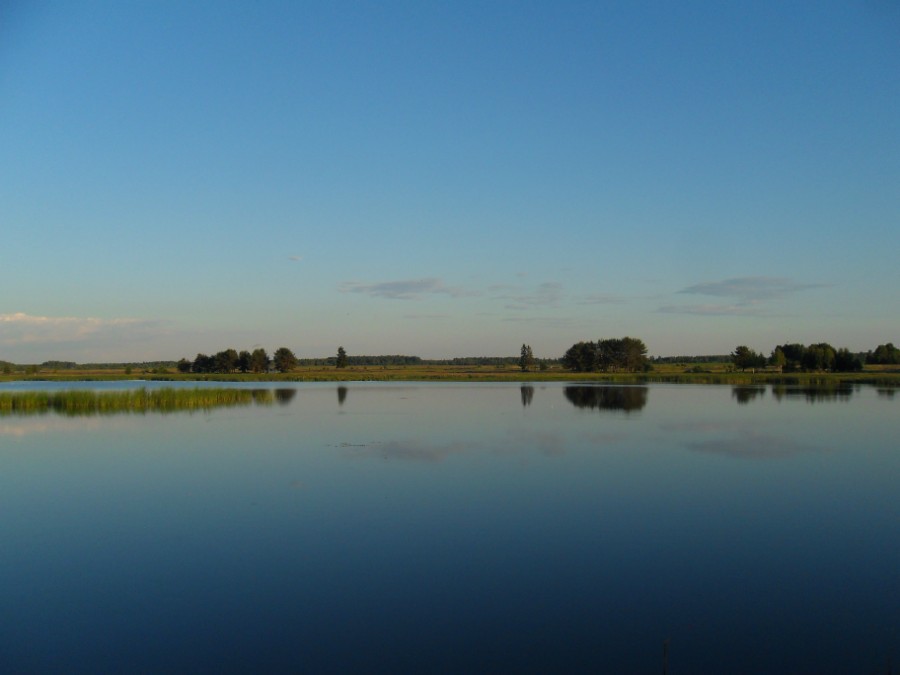Озеро-пруд на р. Санда (вид на южный берег). Фото 2