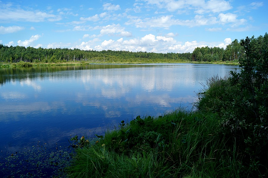 Озеро Журавлиха к северу от Шульгино