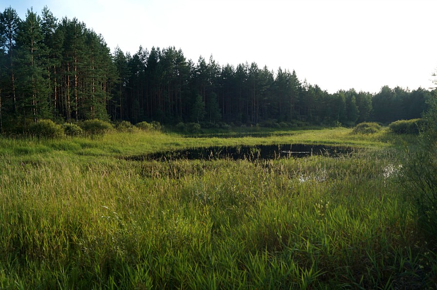 Еще одно небольшое, безымянное озерцо к северу от Сосновского озера Долгое (местоположение см. под фото 