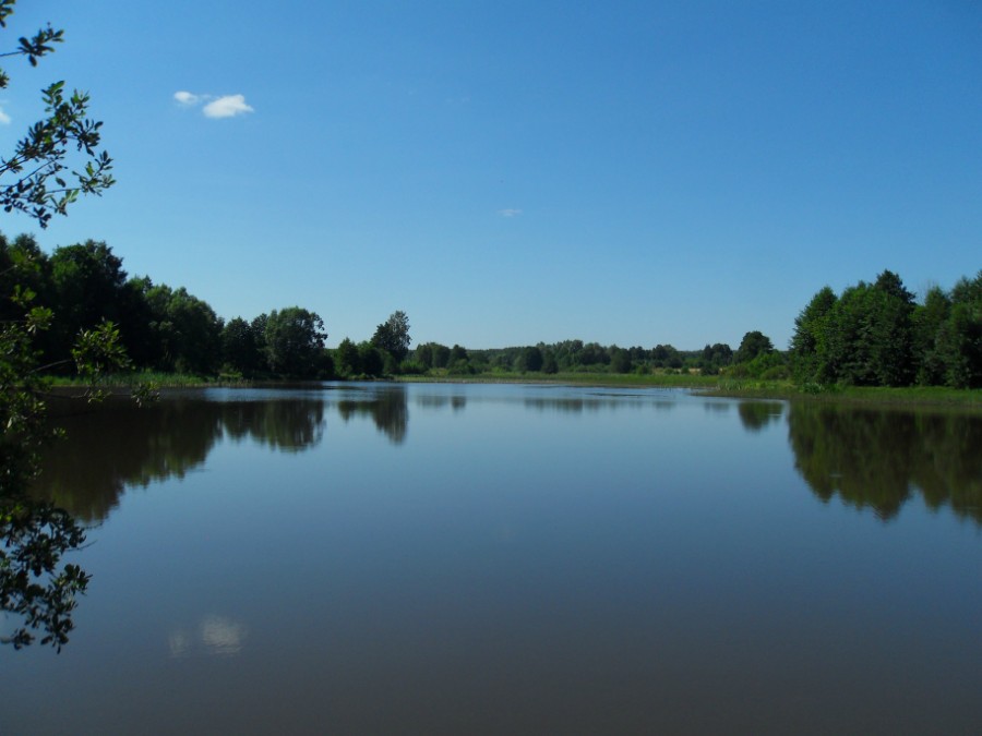 Озеро-пруд на реке Колесенке в с. Пурех