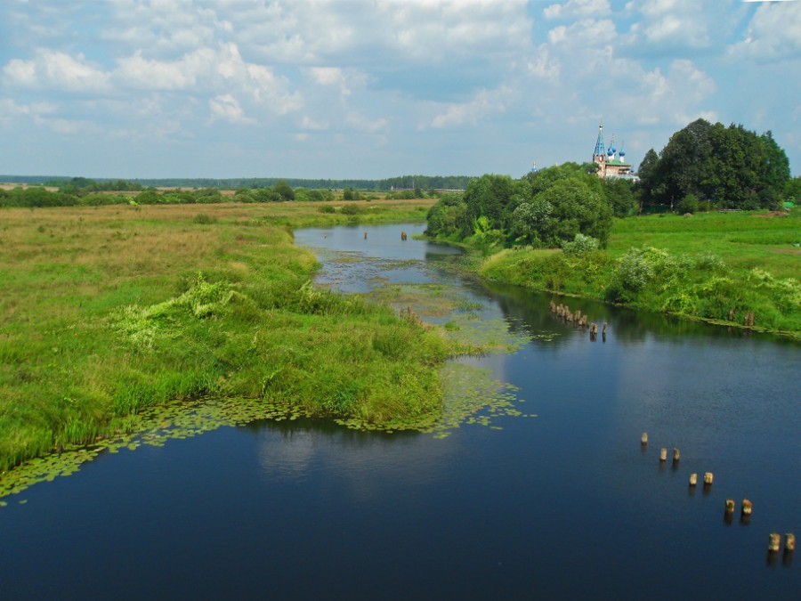 Река Теза между с. Горицы и с. Дунилово. Фото 1