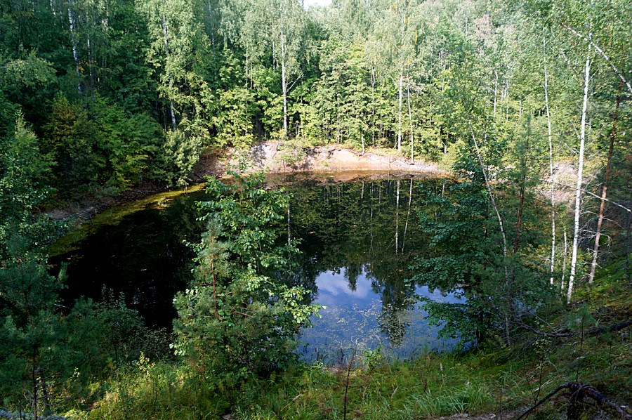 Безымянное озеро-провал в шести километрах к югу от д. Бобровка (Навашинский район)