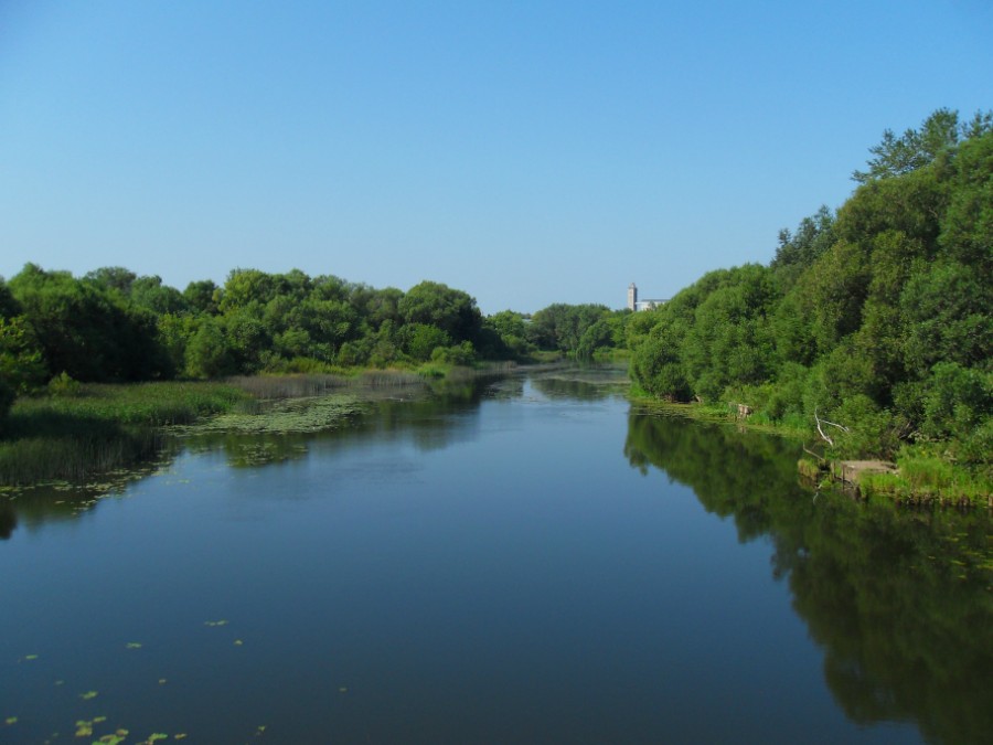 Река Теза в г. Шуя. Фото 1