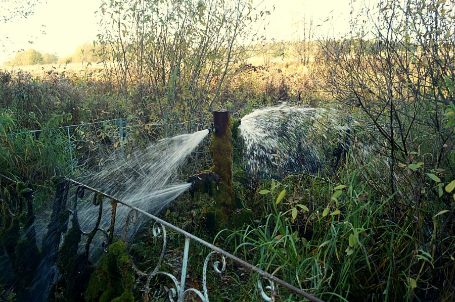 Фонтанирующий источник, скважина на берегу реки Теша у поселка Саконы. Фото 2