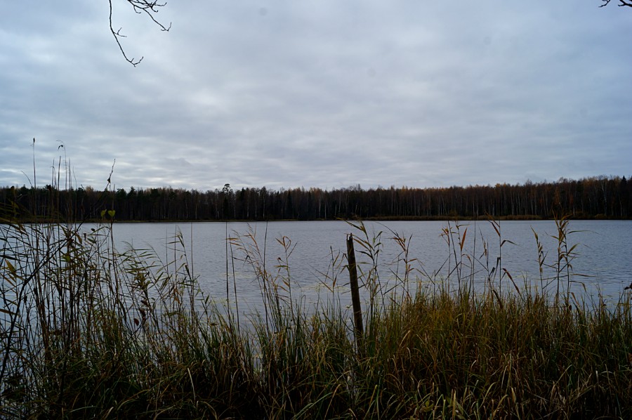 Озеро Шаламумер с северного берега, фото 2