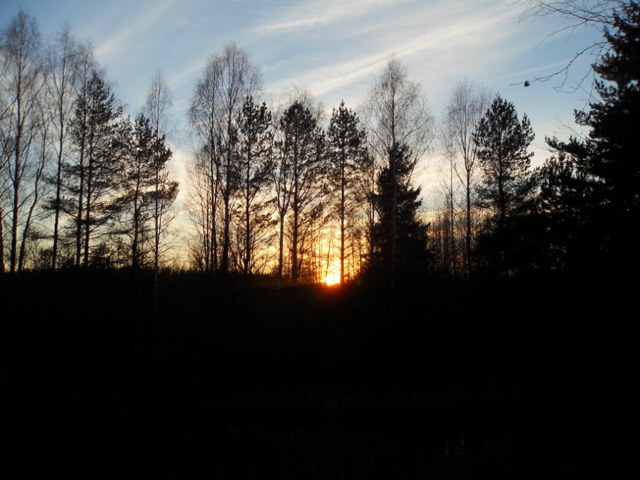 Закат над лесом. Октябрь. Фото 1