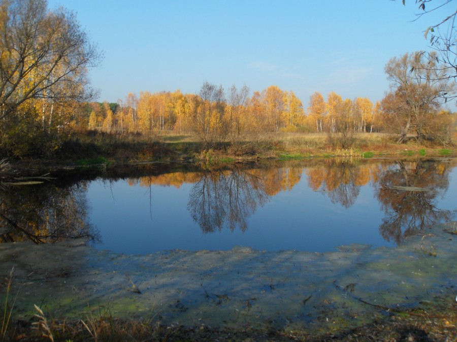 Осень. Верхний пруд в д. Слободское. Фото 2