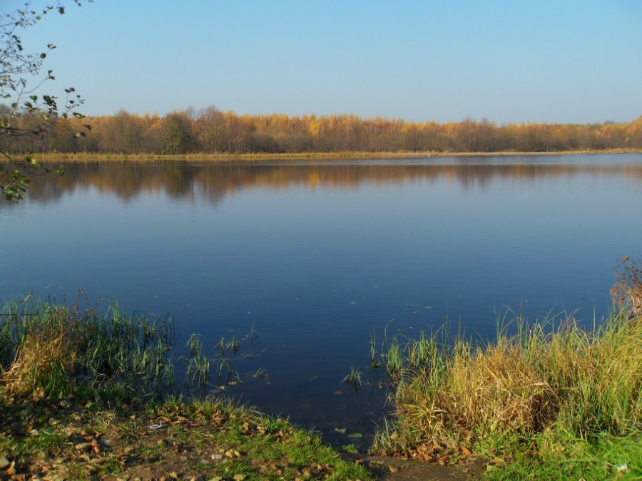 Нижнее озеро - пруд на р. Честка в октябре. Фото 3
