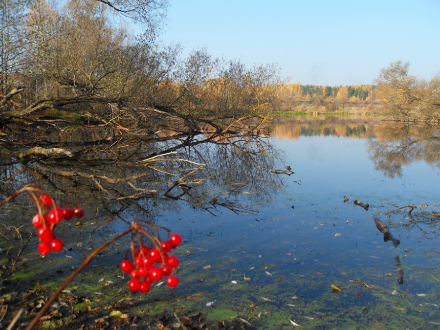 Нижний пруд в д. Слободское осенью. Фото 3