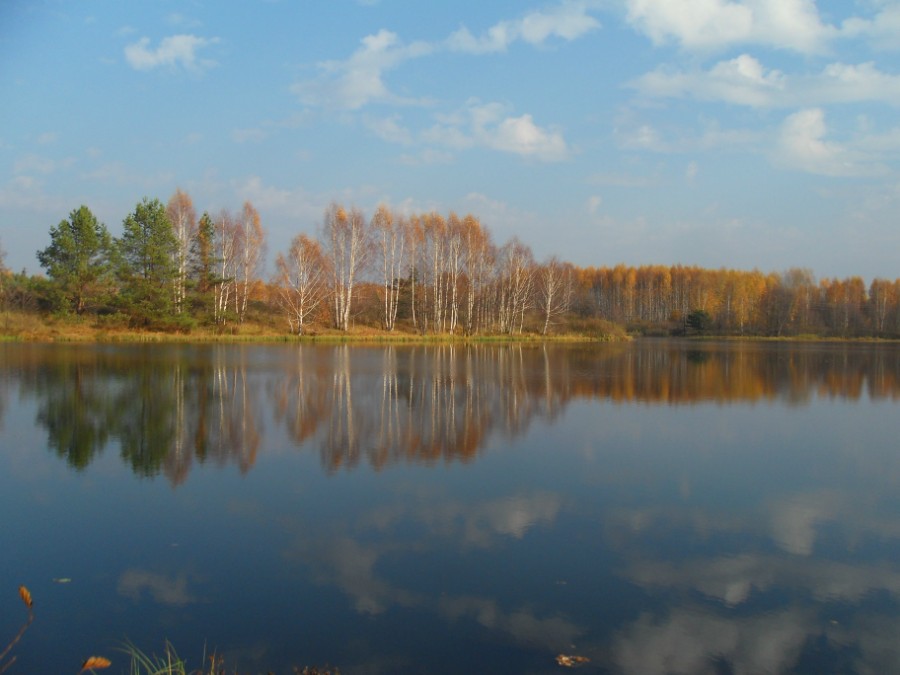 Озеро-пруд на р. Голубиха. Фото 2