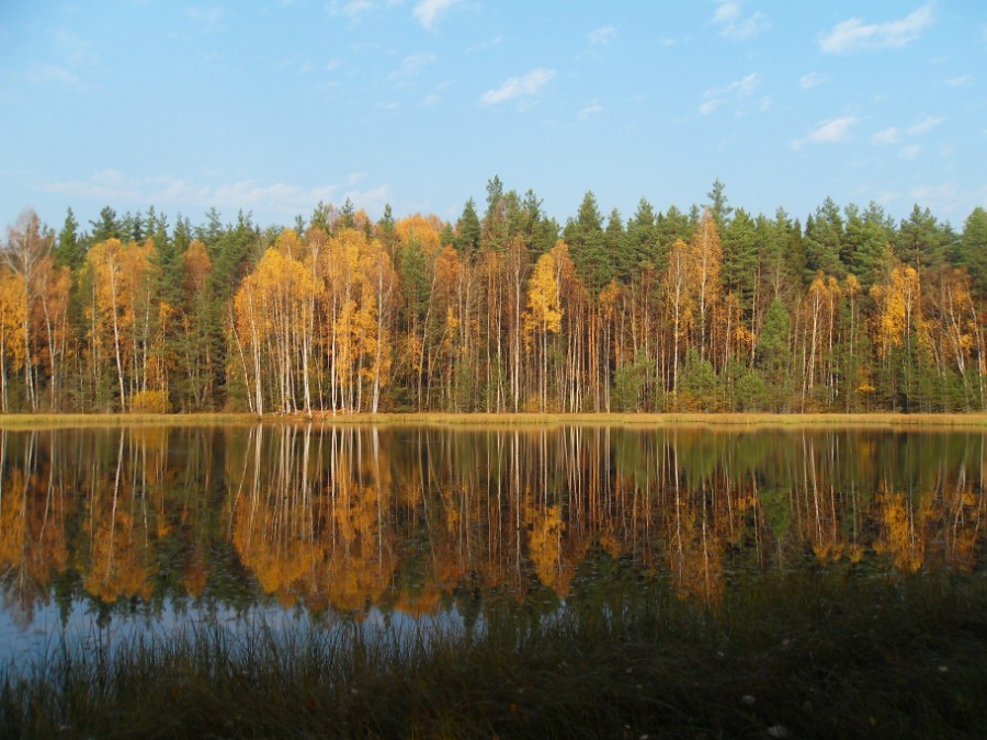 Осень на лесном озере. Фото 4