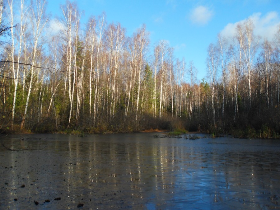 Дохнул осенний хлад на цепь лесных озер... Фото 3