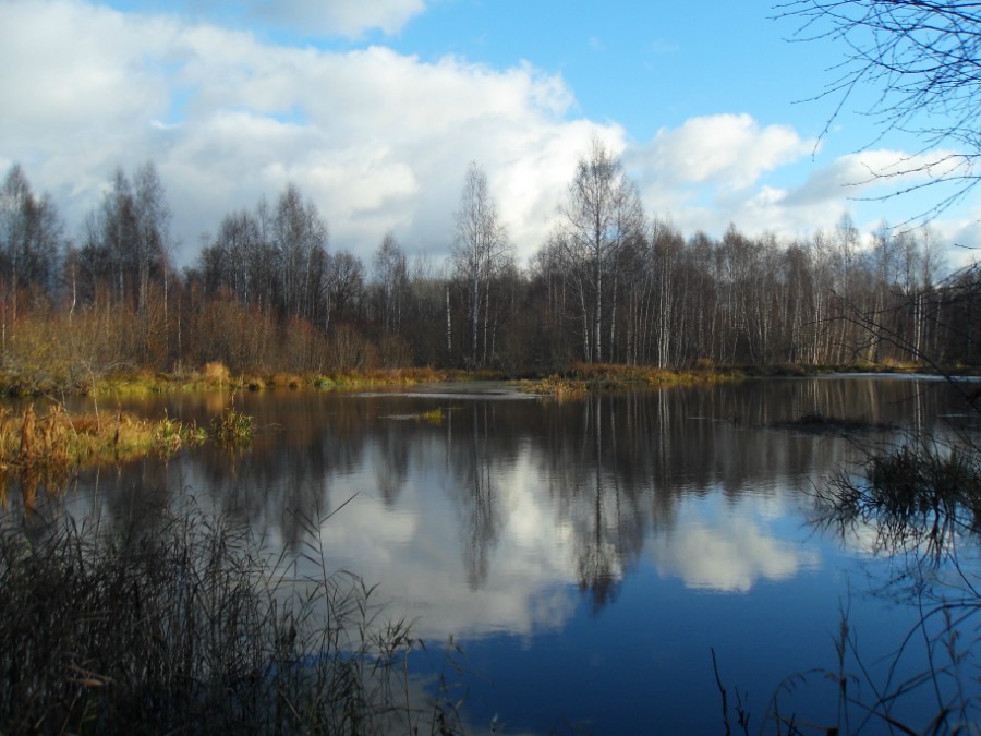 Первое озеро на р. Черновка (перед впадением ее в р. Линда)