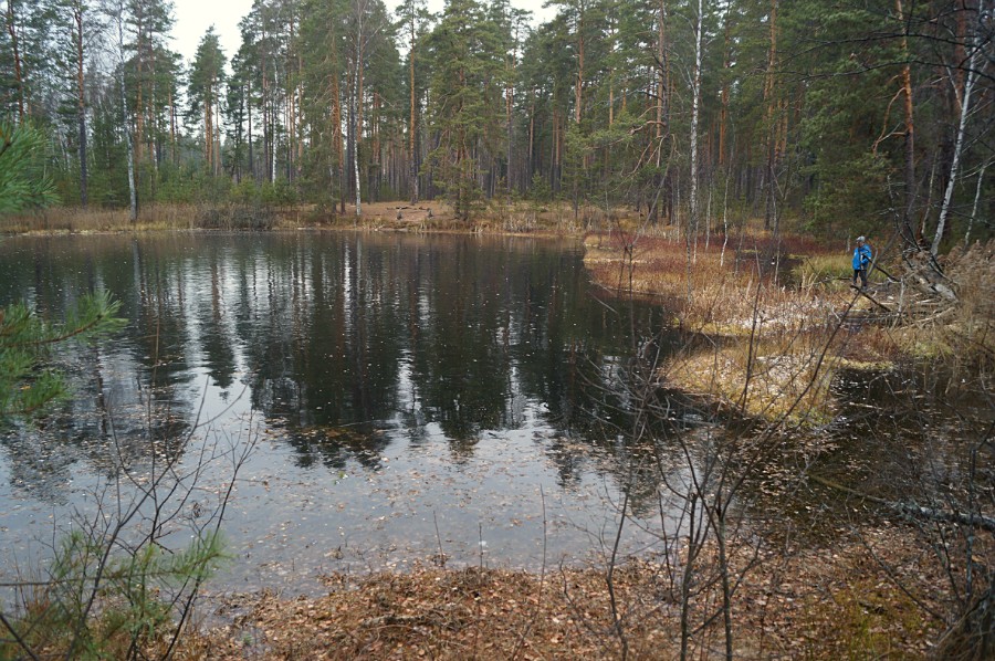 Озеро Светленькое (Озерки-6)