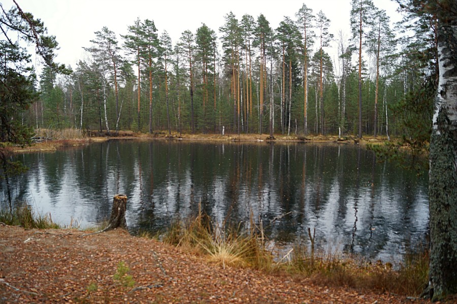 Озеро Светленькое (Озерки-6) поздней осенью