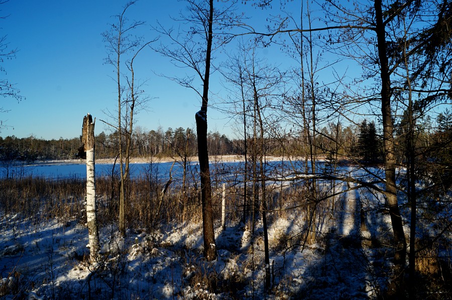 Озеро Молёво (южное). Вид с дороги