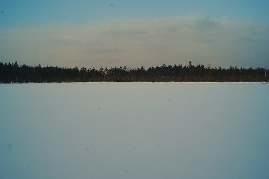Безымянное озеро в 2,5 км к востоку от оз. Моховое, фото 2