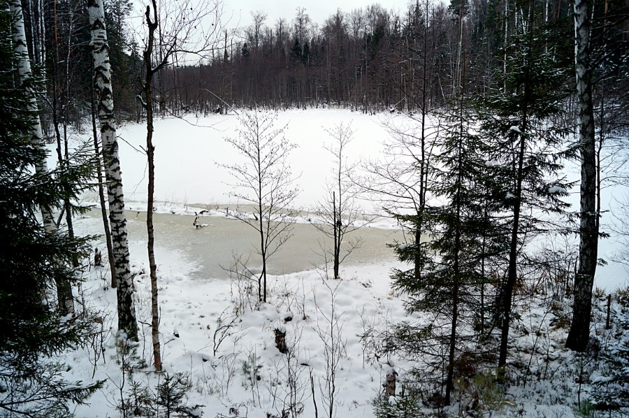 Третье (безымянное) озеро к северу от оз. Черемисское