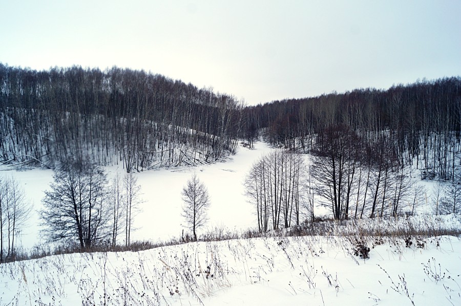 Озеро Маслово зимой