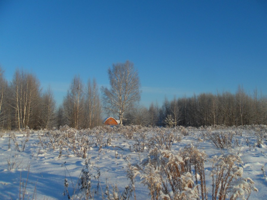 Поселилась зима за околицей... (деревня Зименки). Фото 2