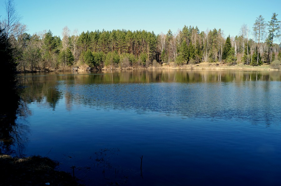 Озеро Муравьиное - вид с южного берега на плотину (Д. Константиновский район)