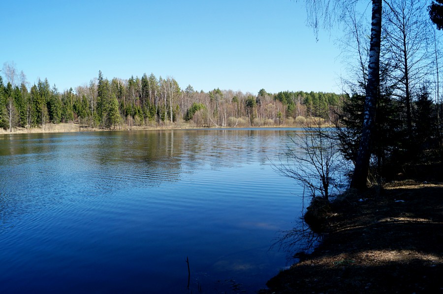 Озеро Муравьиное - вид на северо-восток